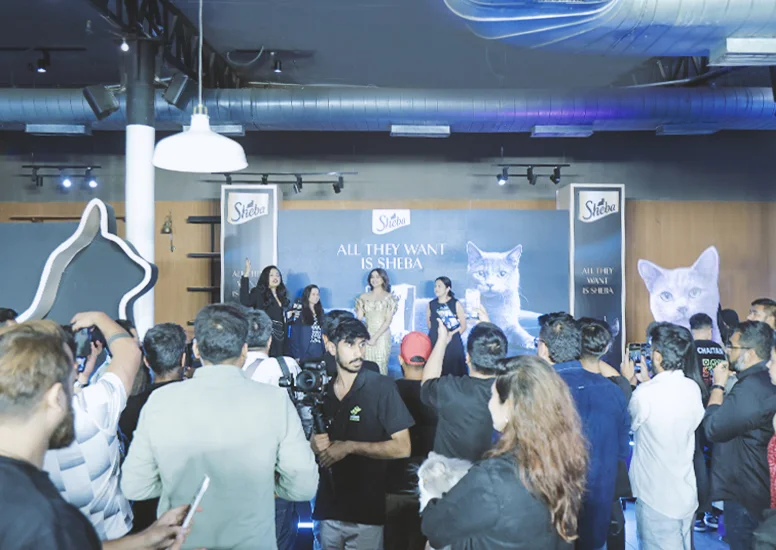 product launch event ideas 2026